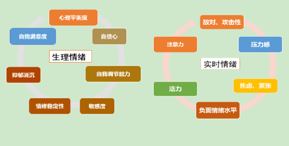 心理健康筛查预警与测评